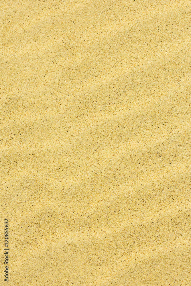 Sand Texture./Sand Texture. Sand Texture./Sand Texture.