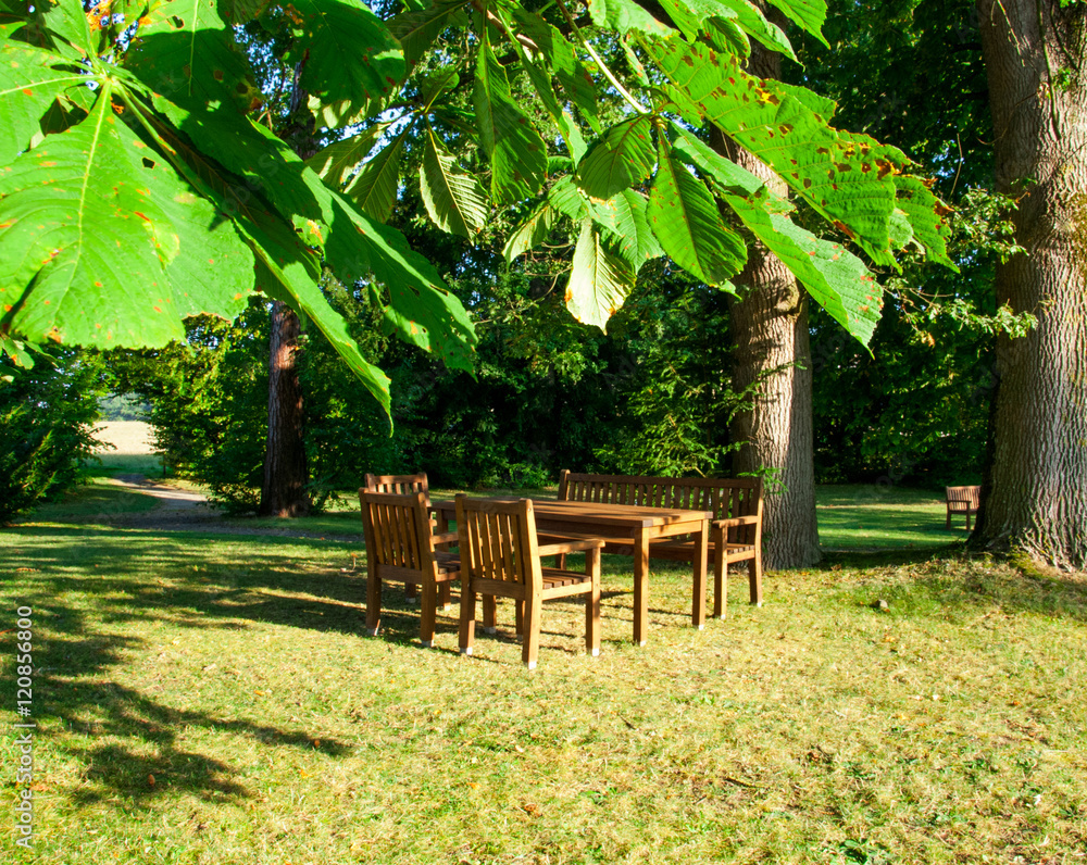 Obraz premium Ruheplatz im Park - Sitzgelegenheit unter Bäumen