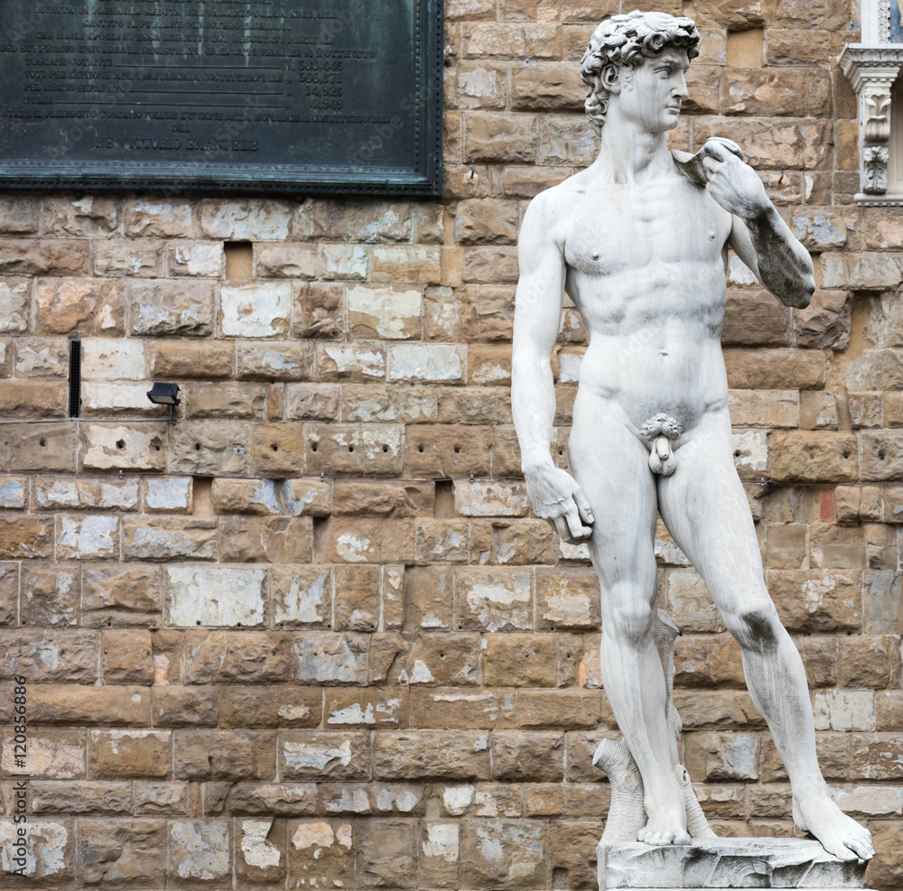 Naklejka premium David by Michelangelo
