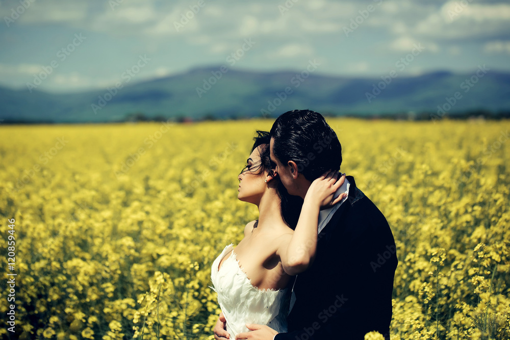 wedding couple in field yellow flowers wedding couple in field yellow flowers