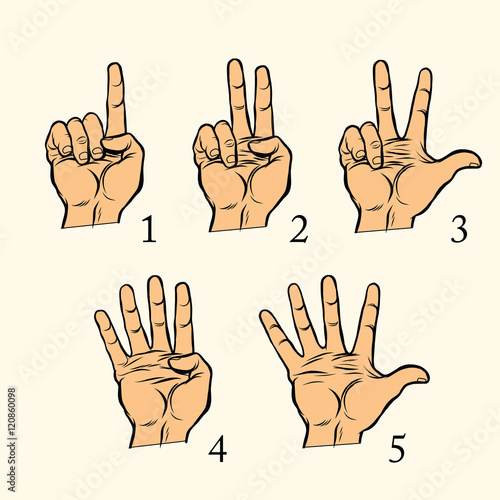 Set of hand gestures count 1 2 3 4 and 5