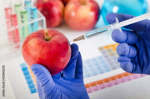 Foto Analyst injects liquid into apple. Genetically modified food con