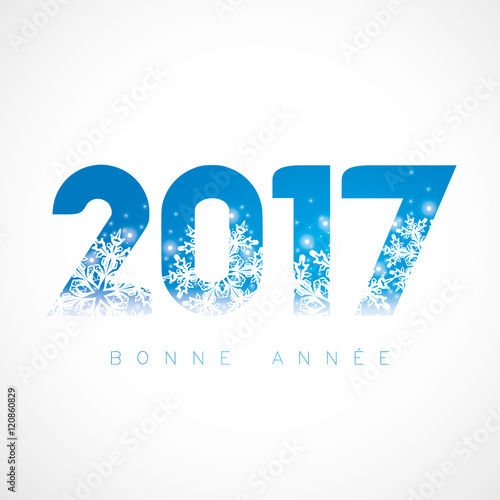 2017 Flocons sur fond bleu