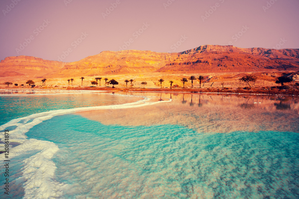 Obraz premium Dead Sea seashore with palm trees and mountains on background