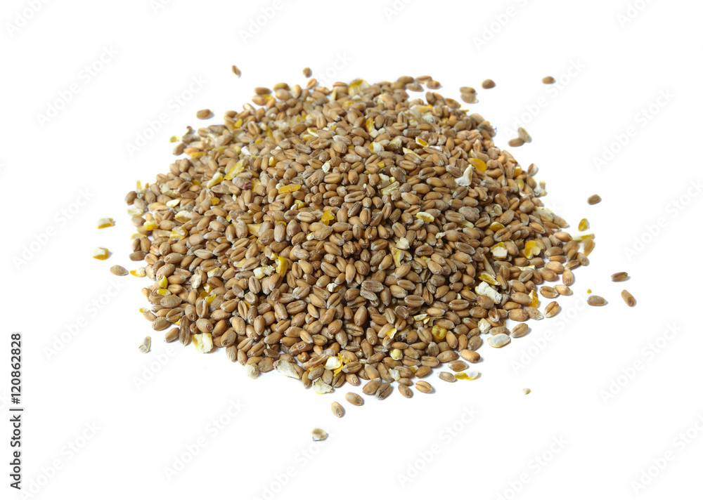 A pile of wheat and sweet corn chicken food isolated on a white background A pile of wheat and sweet corn chicken food isolated on a white background