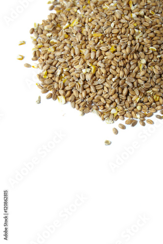 A pile of wheat and sweet corn animal food isolated on a white background to form a page border
