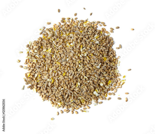 Aerial view of a pile of wheat and sweet corn chicken food isolated on a white background