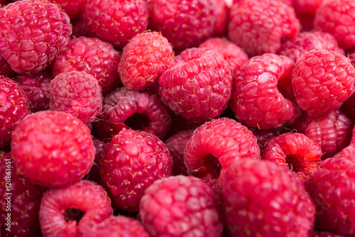 Fresh ripe raspberries macro shot  summer fruit background