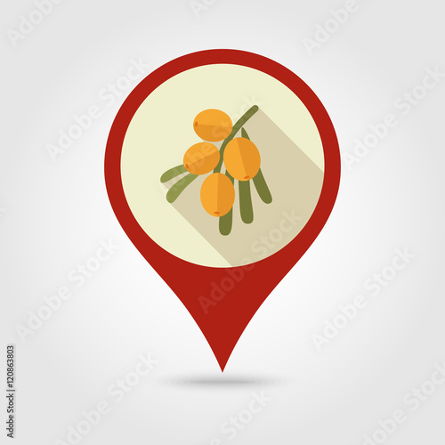 Branch of sea-buckthorn berries pin map icon