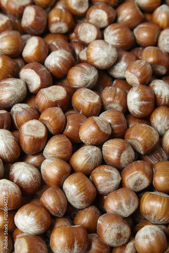 A full page of hazelnuts background texture