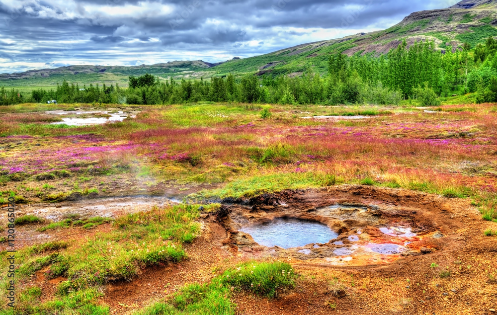 Hot springs in Haukadalur Valley - Iceland Hot springs in Haukadalur Valley - Iceland