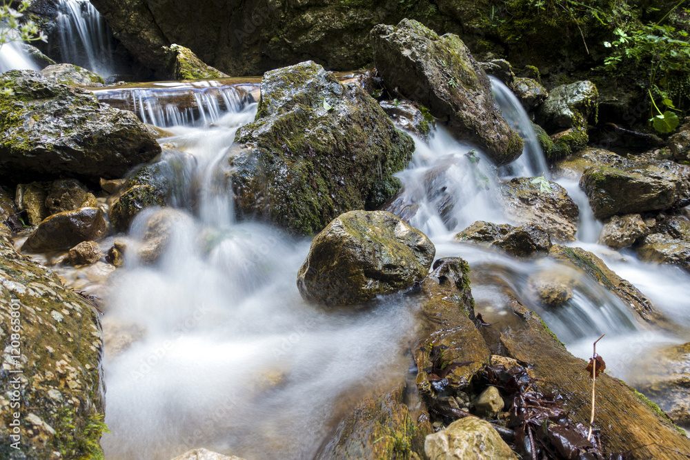Mountain river flowing through the green forest. Stream in the wood Mountain river flowing through the green forest. Stream in the wood
