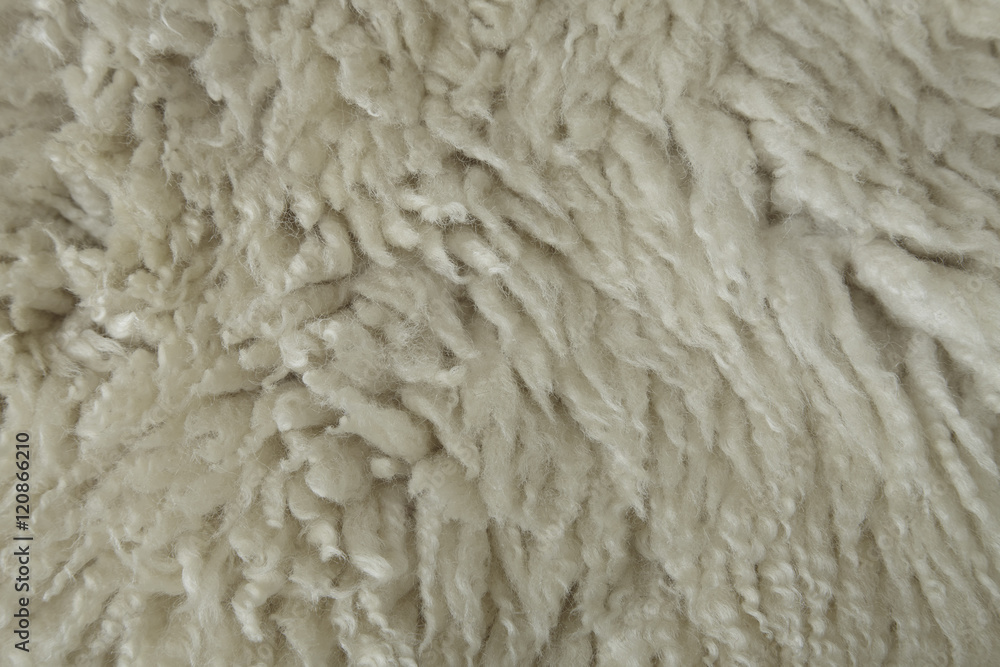 A full page of white sheepskin fleece background texture A full page of white sheepskin fleece background texture
