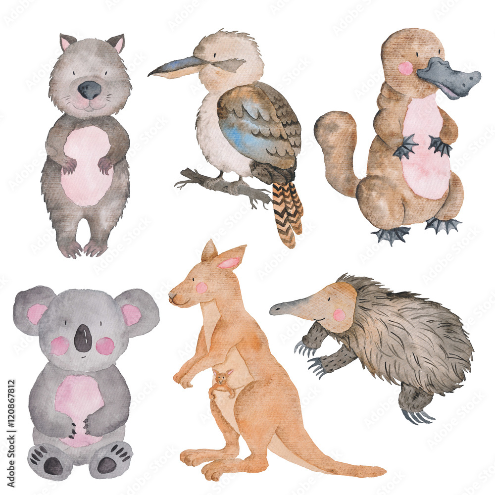 Australian animals watercolor Hand-painted illustration Isolated Australia  Clipart Exotic Cartoon Cute Animal Stock Illustration | Adobe Stock
