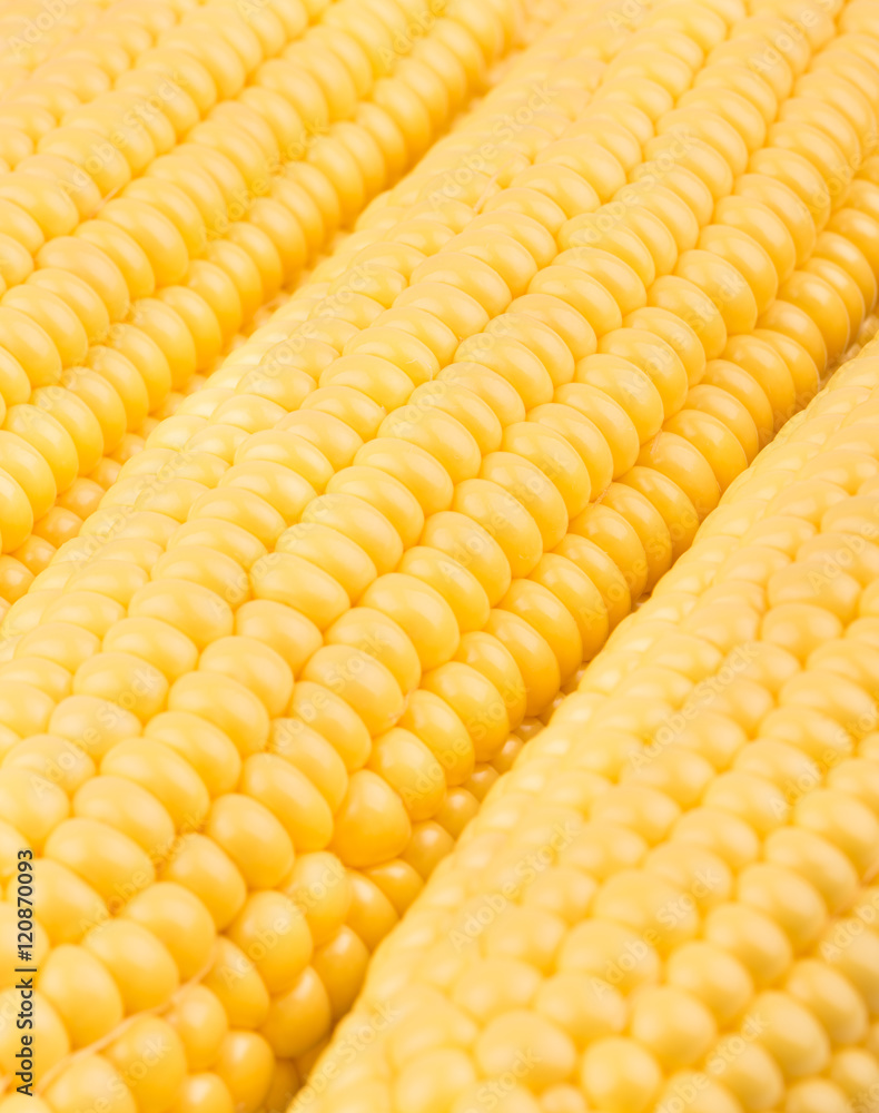 Raw corn cob Raw corn cob