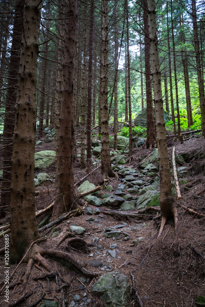 Obraz premium Folgefonna