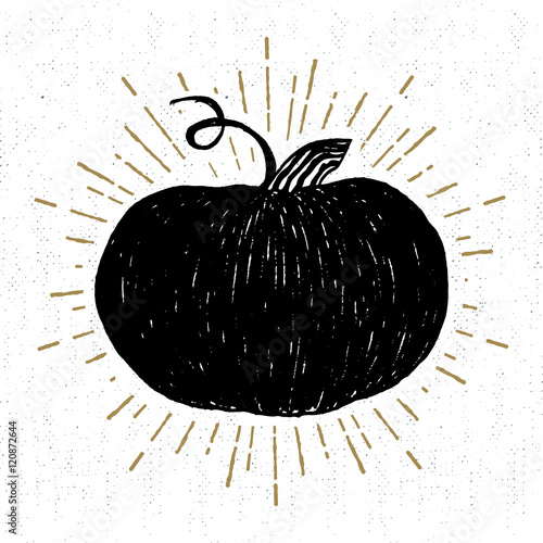 Hand drawn Halloween icon with a textured pumpkin vector illustration.