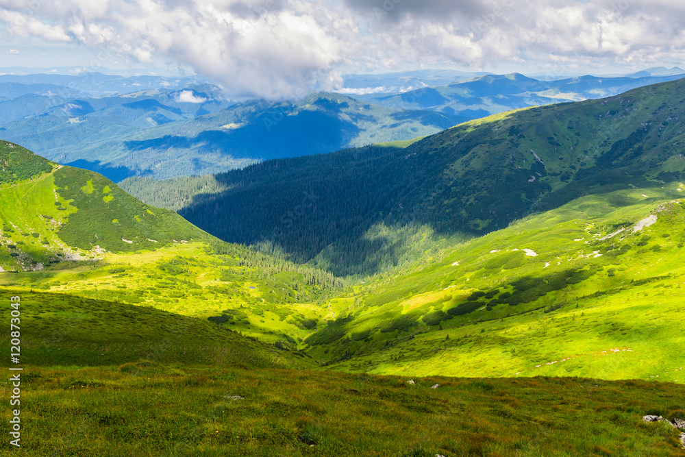 Picturesque Carpathian mountains landscape in summer, view from the height, Ukraine.
