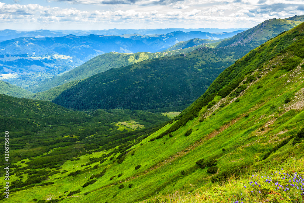 Picturesque Carpathian mountains landscape in summer, view from the height, Ukraine.