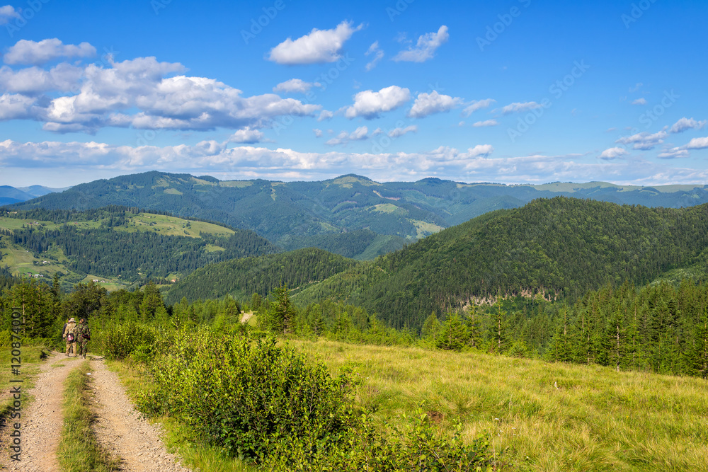 Naklejka premium Picturesque Carpathian mountains, nature landscape in summer, Ukraine.