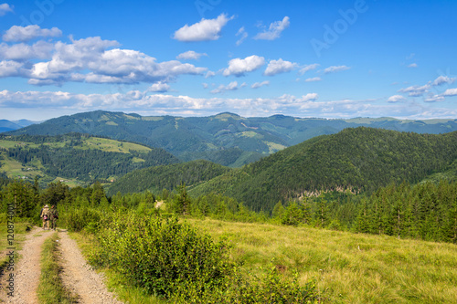 Picturesque Carpathian mountains, nature landscape in summer, Ukraine.