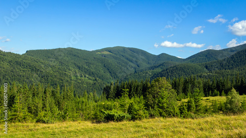 Picturesque Carpathian mountains, nature landscape in summer, Ukraine.