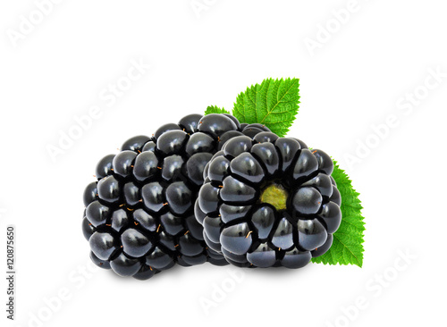 Two fresh ripe blackberry berries with leaves isolated on white background. Design element for product label, catalog print, web use.