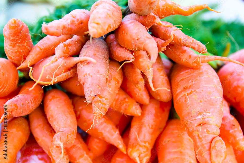 Organic vegetables.Fresh carrots in the market.Freshly harvested Organic vegetables.Fresh carrots in the market.Freshly harvested
