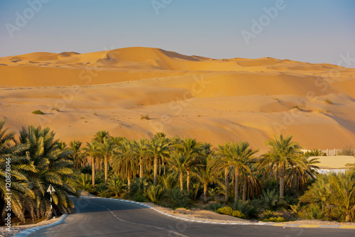 Desert dunes in Liwa oasis, United Arab Emirates photo