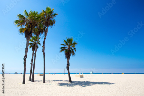 Santa Monica Beach Scene