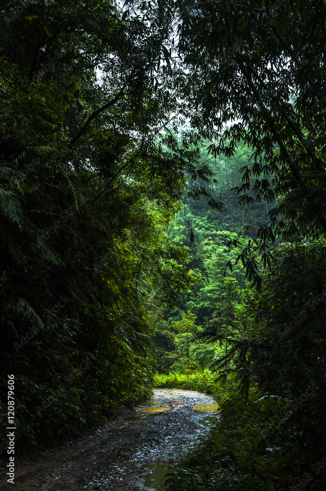 Mountains scenery in the rain and mist Mountains scenery in the rain and mist