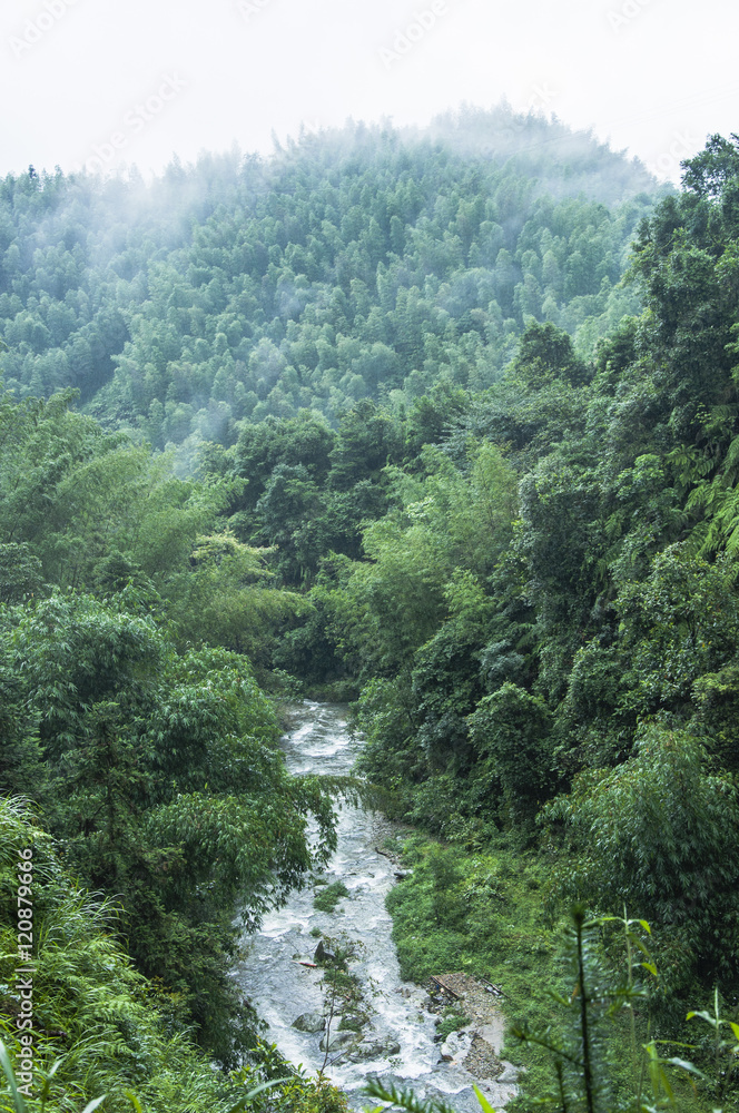 Mountains scenery in the rain and mist Mountains scenery in the rain and mist