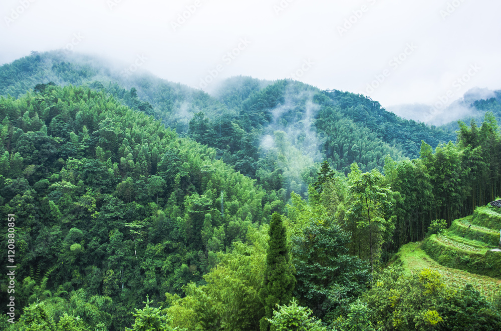 Fototapeta premium Mountains scenery in the rain and mist