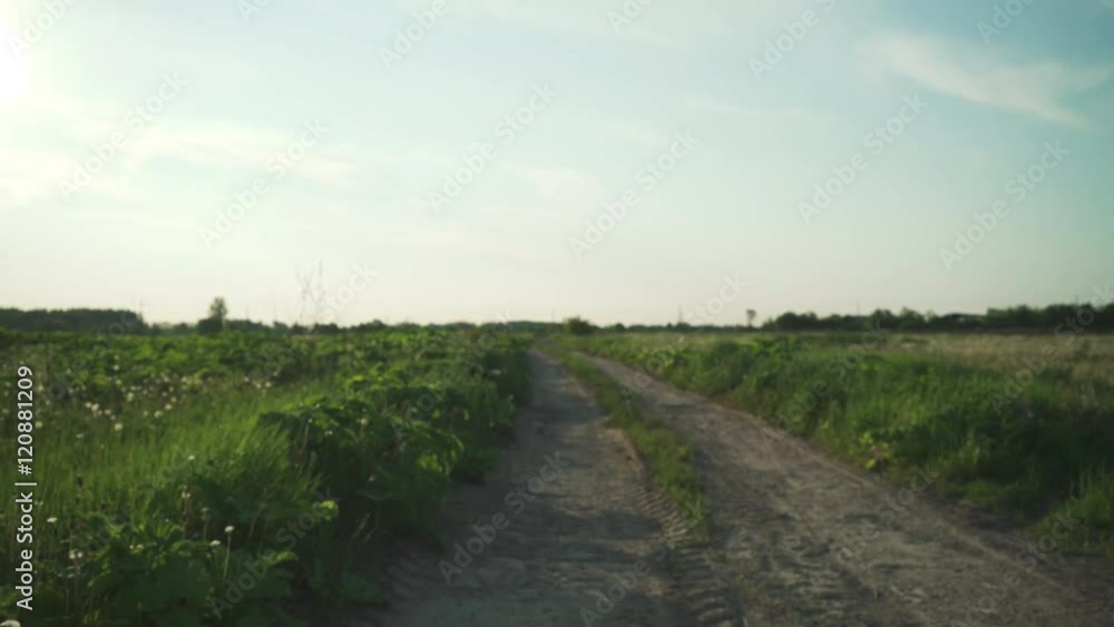walking on dirt rural road in summer evening focus close to camera walking on dirt rural road in summer evening focus close to camera