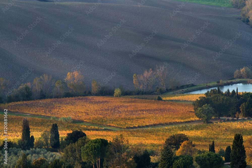 Fototapeta premium tuscany landscape in early fall