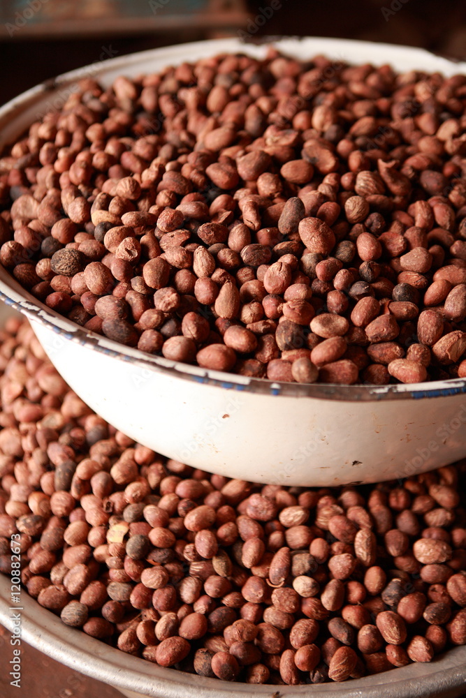 Seeds of shea tree Mubanayili Gana Seeds of shea tree Mubanayili Gana