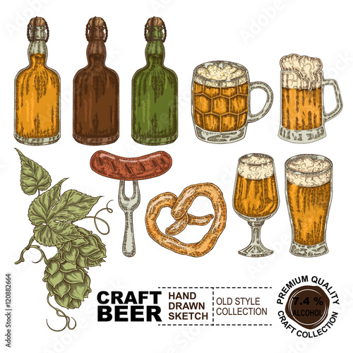 Beer set vintage full color sketch style. Hand drawn bottle, beer