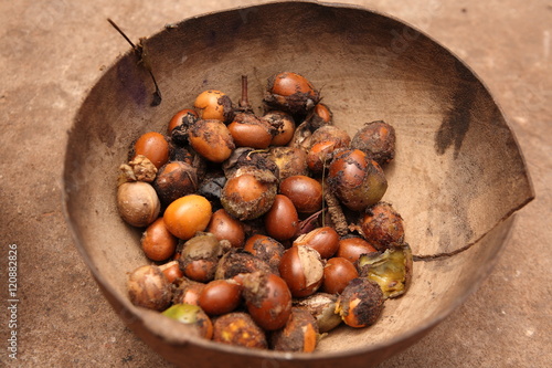 Seeds of shea tree Mubanayili Gana 