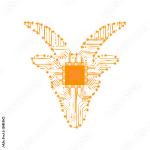 Abstract Zodiac Capricorn