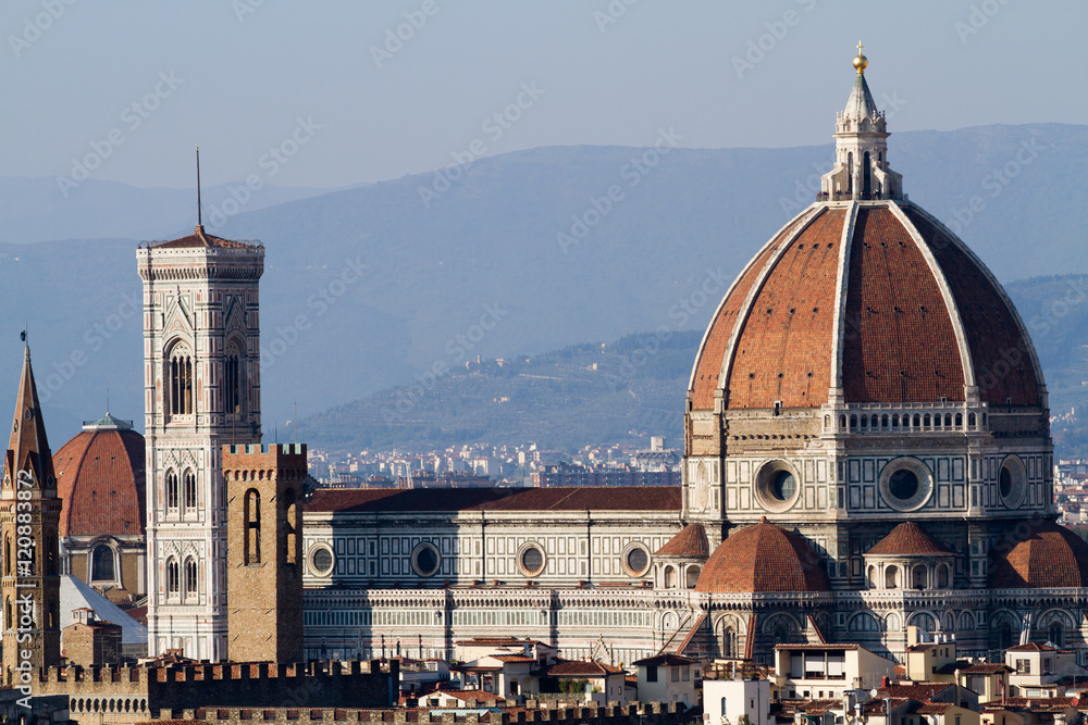 Fototapeta premium landscape of florence