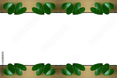 Heart shaped leaves as a border on white background