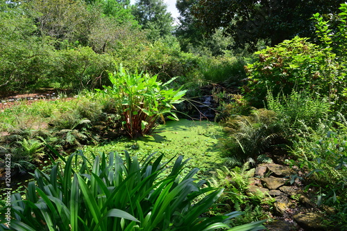 The grounds of a country estate in Louisiana in America in early Fall.