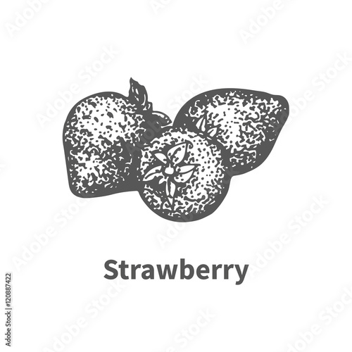 Vector illustration hand-drawn strawberry