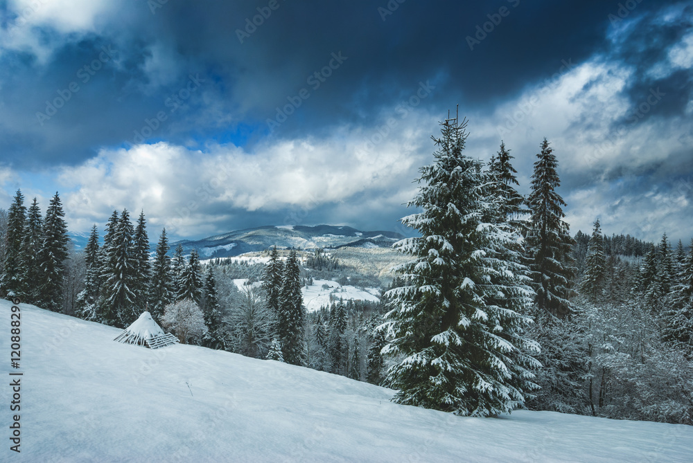 Christmas time in Carpathians
