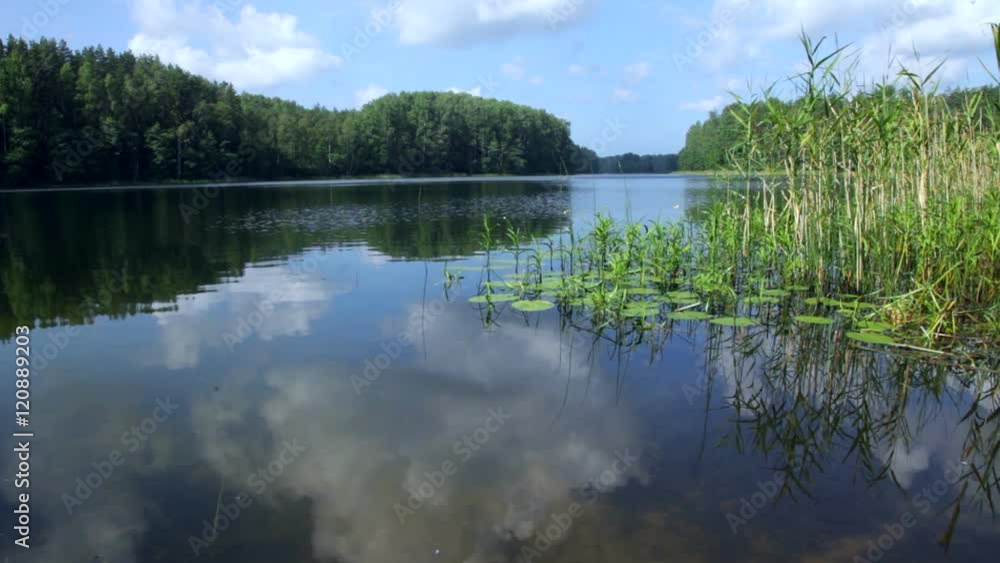 Blue sky with clouds reflecting in a forest lake on a summer day Blue sky with clouds reflecting in a forest lake on a summer day