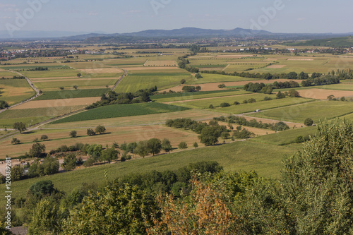 Landschaft im Schwarzwald