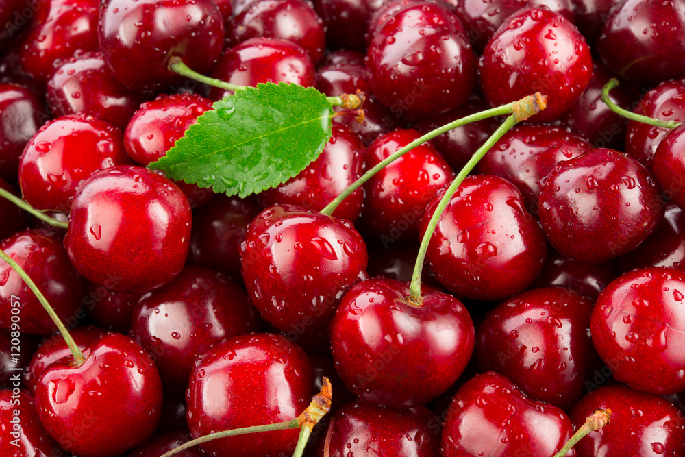 Cherry. Fresh organic berries macro. Fruit background Cherry. Fresh organic berries macro. Fruit background