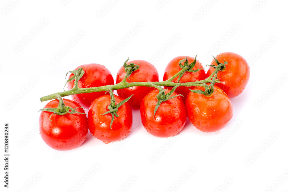 Branch of red cherry tomatoes sprinkled with water and isolated on a white background. Branch of red cherry tomatoes sprinkled with water and isolated on a white background.