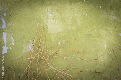 Green paint on old cement wall 