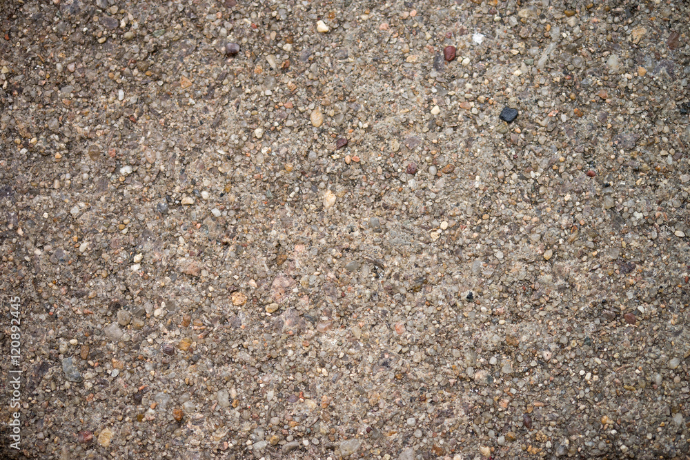 Roughcast / Roughcast on a wall Roughcast / Roughcast on a wall